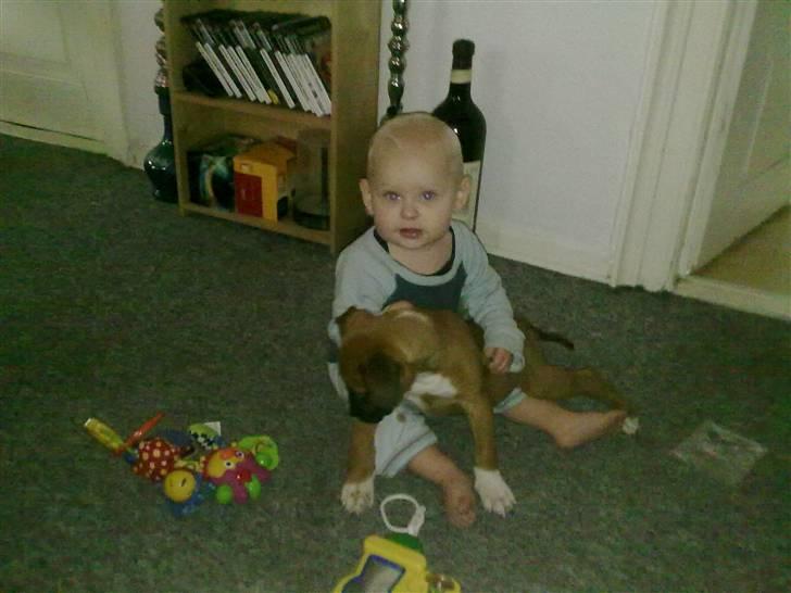 Blanding af racer Ratata - her leger han med max billede 7