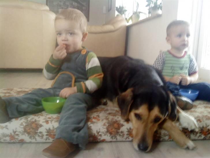 Blanding af racer Tumle - man kan jo altid håbe på at de taber noget  ikke ;D billede 2