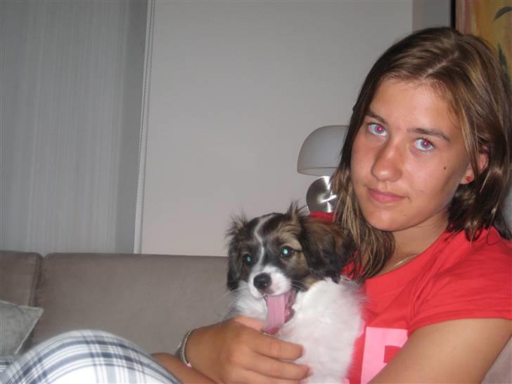 Phalene Beautiful Bessie "Molly" billede 12
