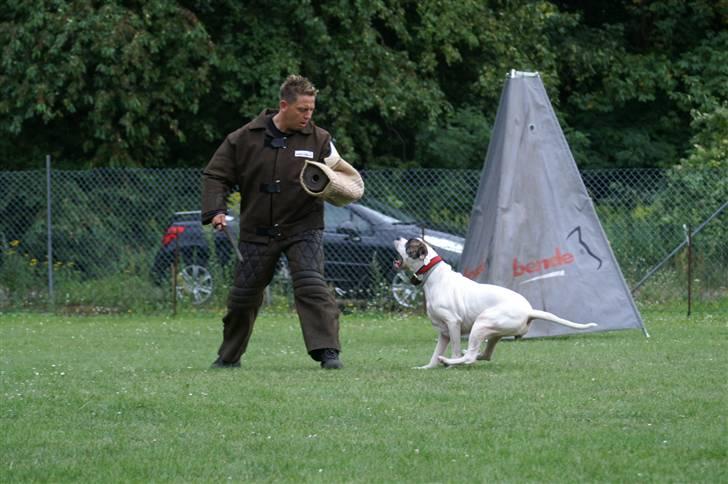 Blanding af racer Mills´ Madame Mayhem - Irondog august 2009 billede 13