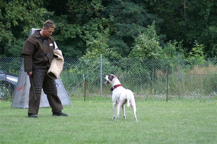 Blanding af racer Mills´ Madame Mayhem - Irondog august 2009 billede 16