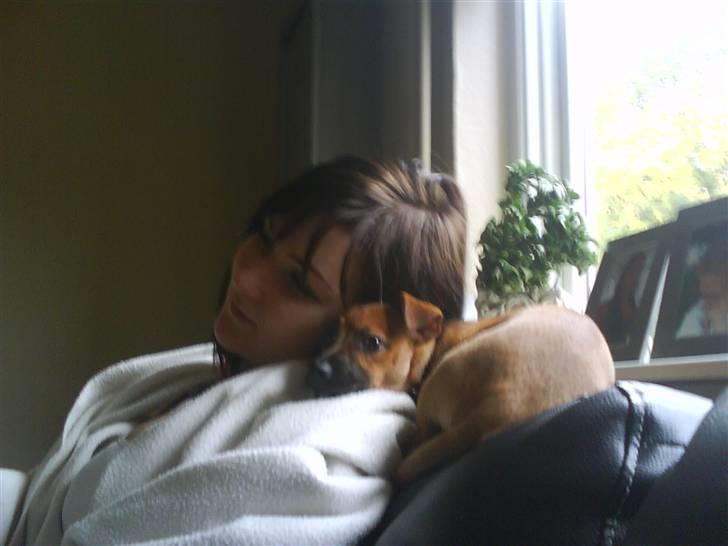 Blanding af racer King <3 billede 2