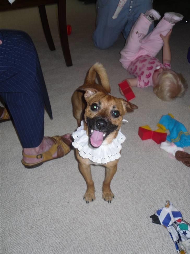 Blanding af racer King <3 billede 10