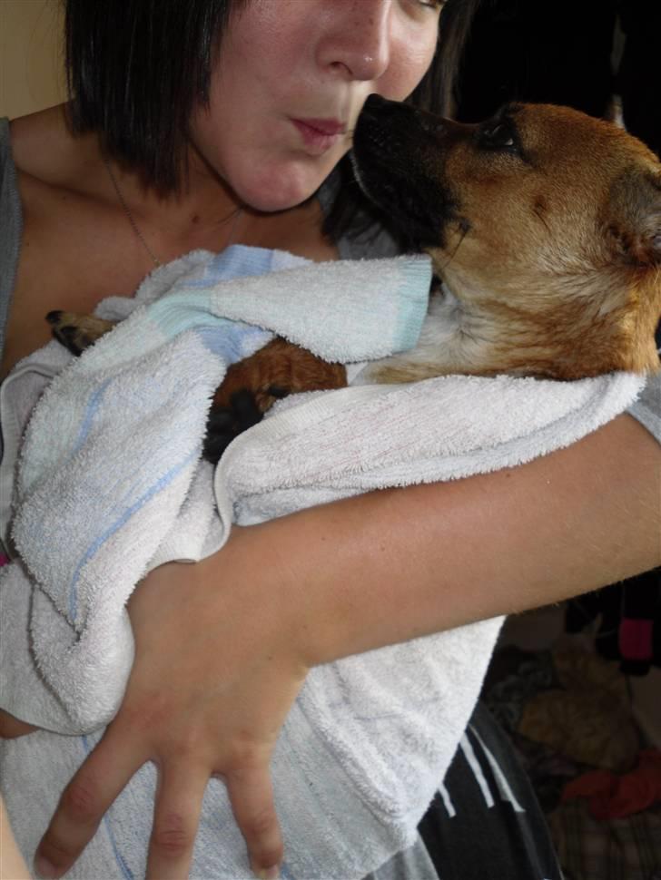 Blanding af racer King <3 billede 13