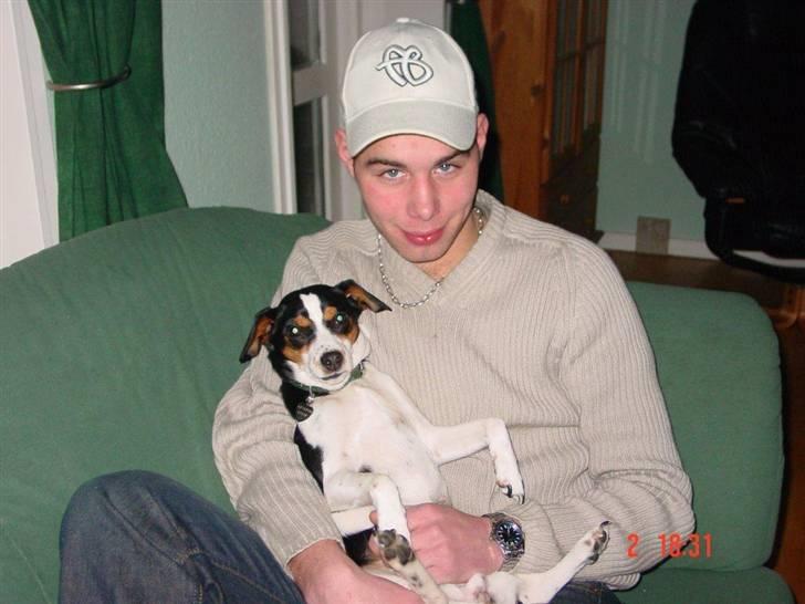 Dansk svensk gaardhund Freia Himmelhund 2008 - men allerbedst er det at sidde og nusse billede 14