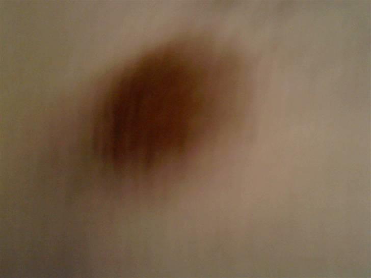 Blanding af racer Bella - Min plet på ryggen billede 4