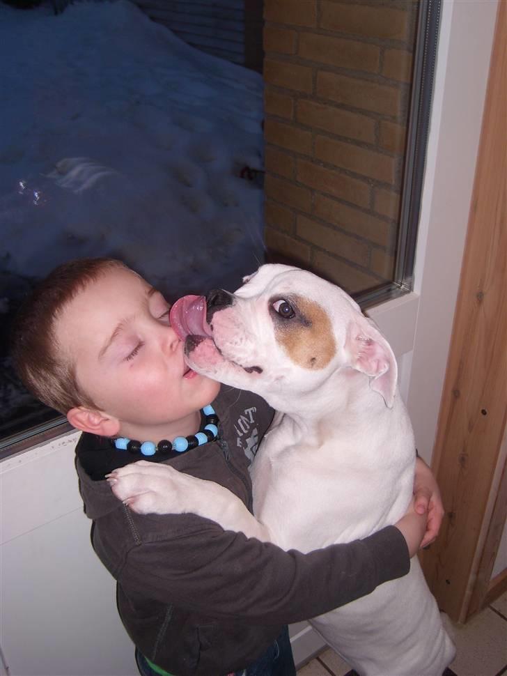 Blanding af racer Bertha - 5½ måned billede 8