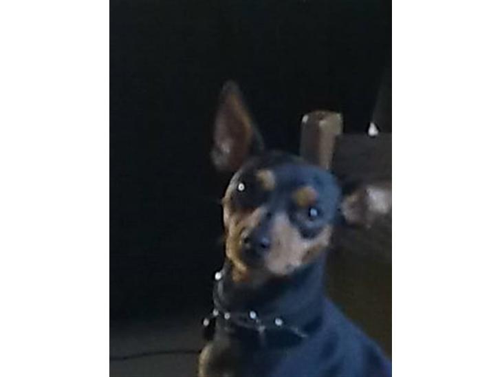 {{currentPhoto.altText}} billede {{currentPhoto.number}}