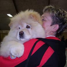 Chow chow Liusu`s Ai-lin