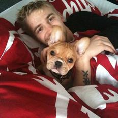 Fransk bulldog R.I.P Bailey 07.12.09 - 26.05.12