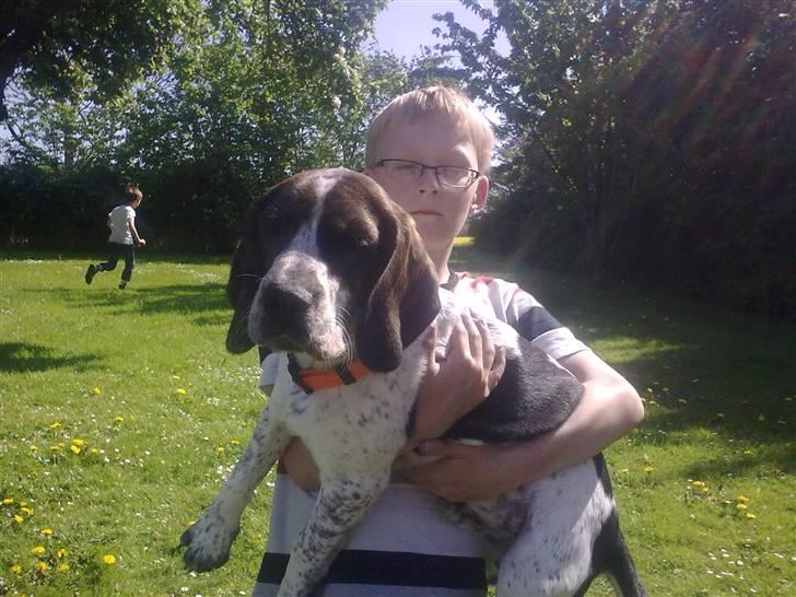 Blanding af racer Zef - Zef og lillebror billede 3