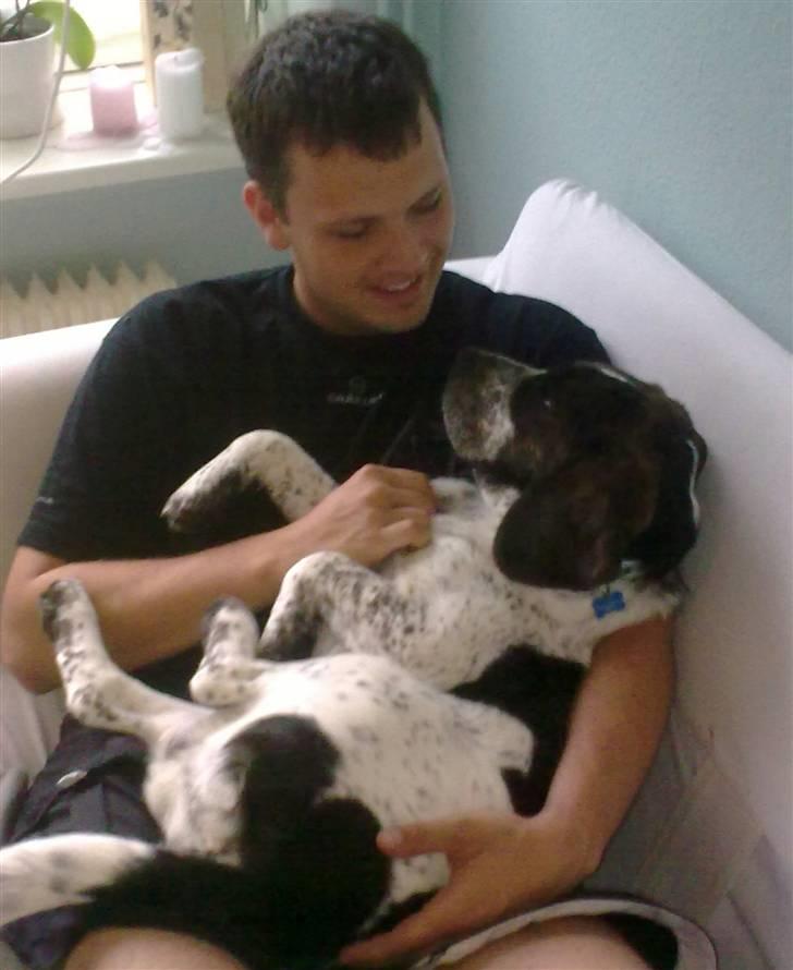 Blanding af racer Zef - Søde Zef og dejlige Ulrik billede 5