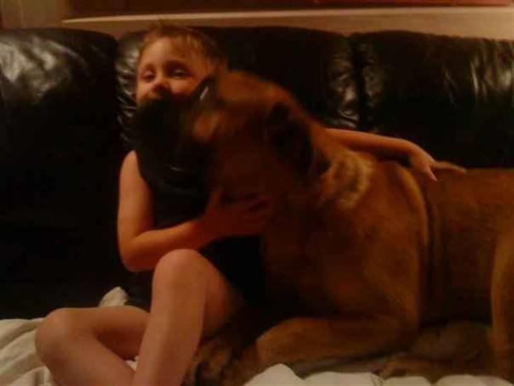 Bullmastiff Braks one night stanley billede 8