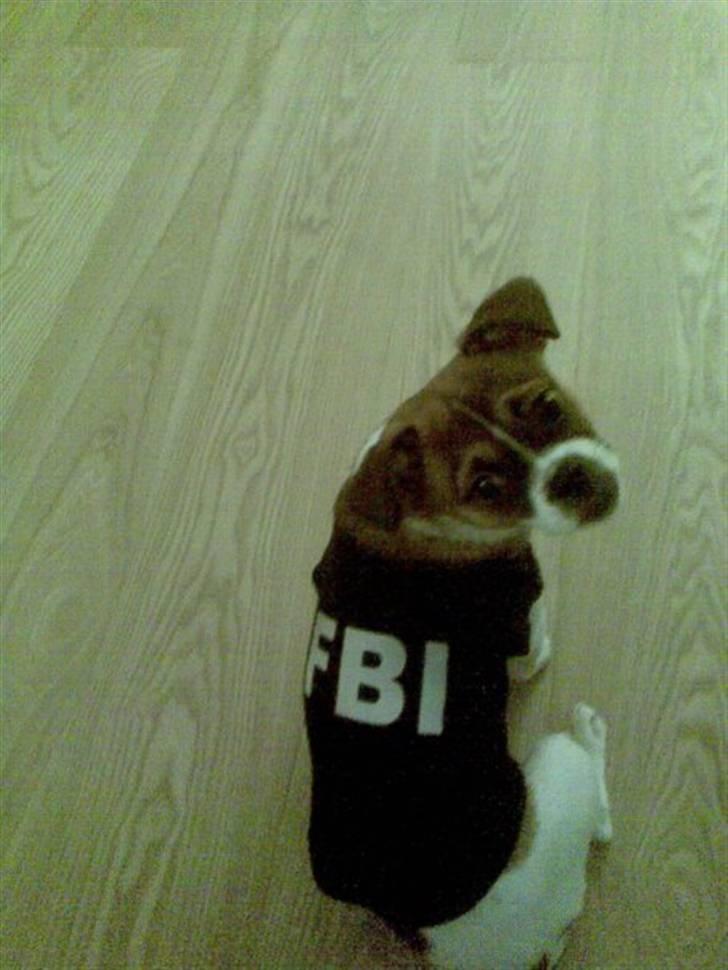 Blanding af racer Tuc billede 10