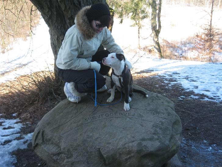 Blanding af racer Leif billede 8