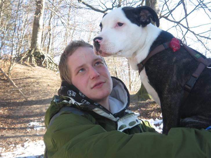 Blanding af racer Leif - Det er mine drenge :)  billede 12