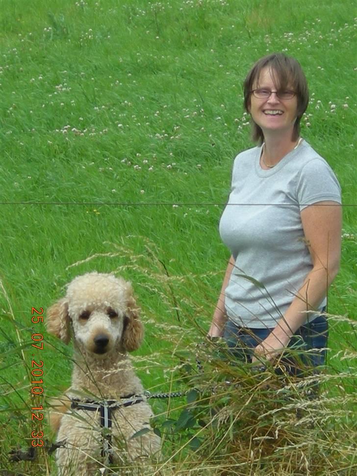 Storpuddel Nuka billede 8