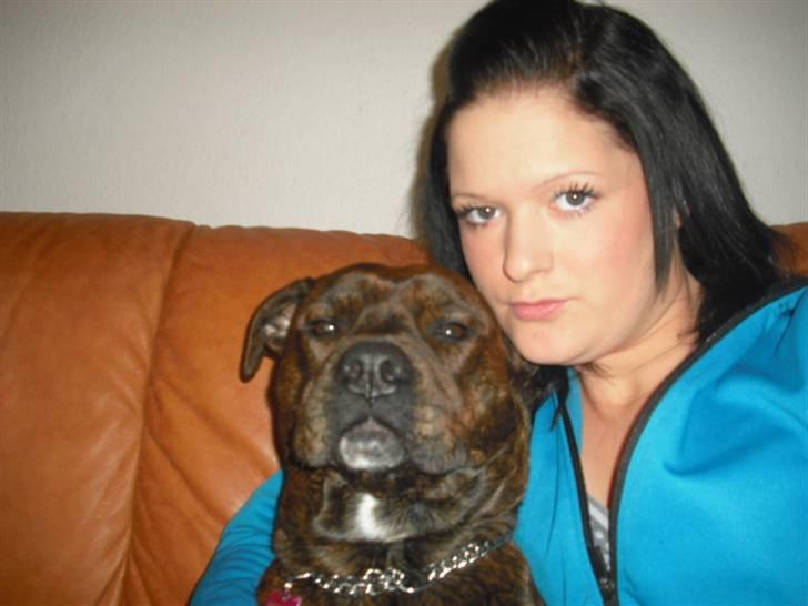 Amerikansk staffordshire terrier - Bessie <3 billede 6