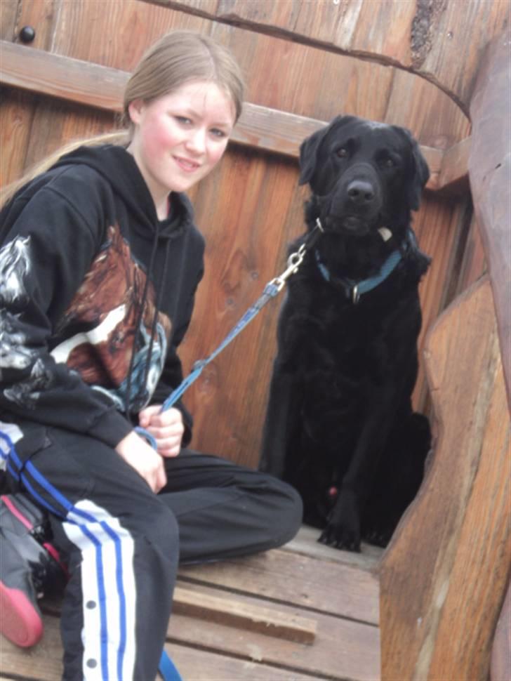 Blanding af racer >Vaks< min dreng<3 billede 10