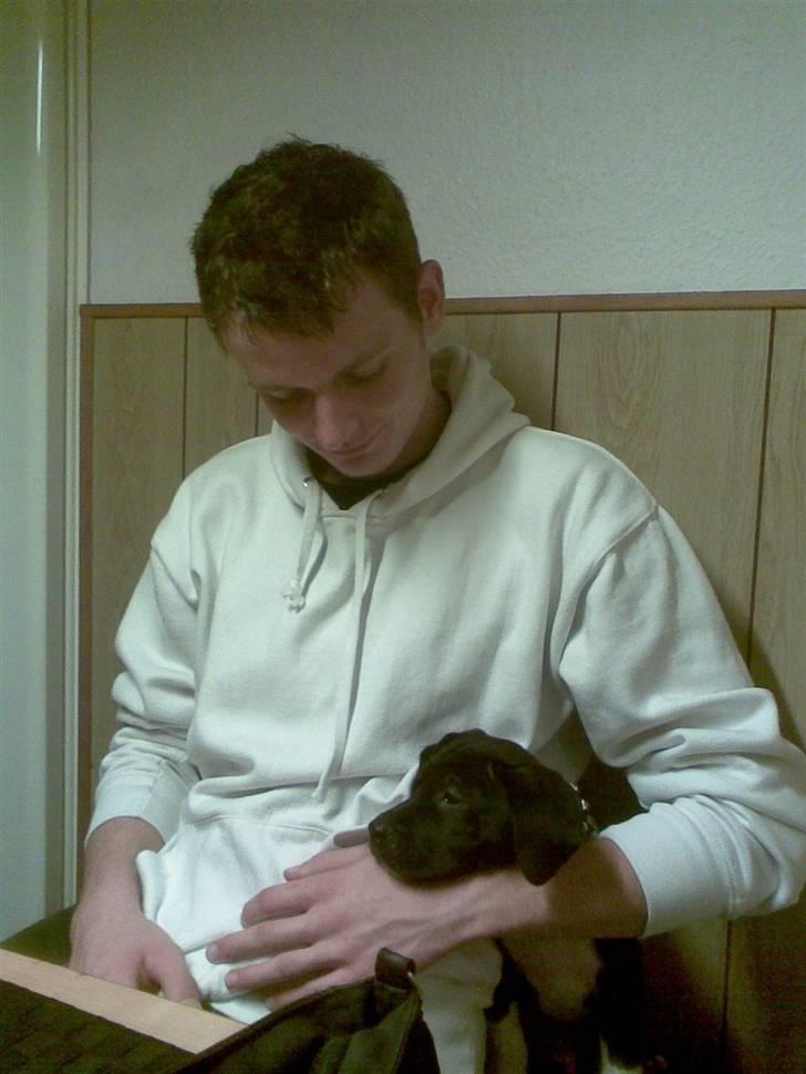 Blanding af racer jaco - jaco en uge efter jeg fik ham billede 8