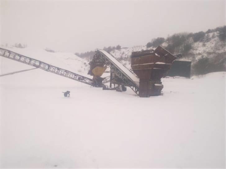 Blanding af racer jaco billede 13