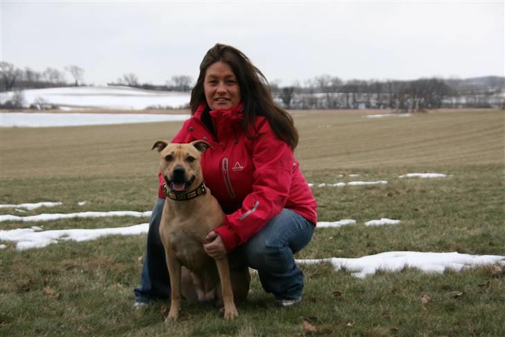 Amerikansk staffordshire terrier gaia - mig og mor.. billede 18