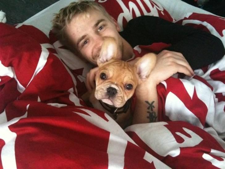 Fransk bulldog R.I.P Bailey 07.12.09 - 26.05.12 - Baileys nr. 2 dag hos os :-) billede 1