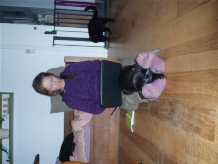 Blanding af racer Liga - Liga billede 2