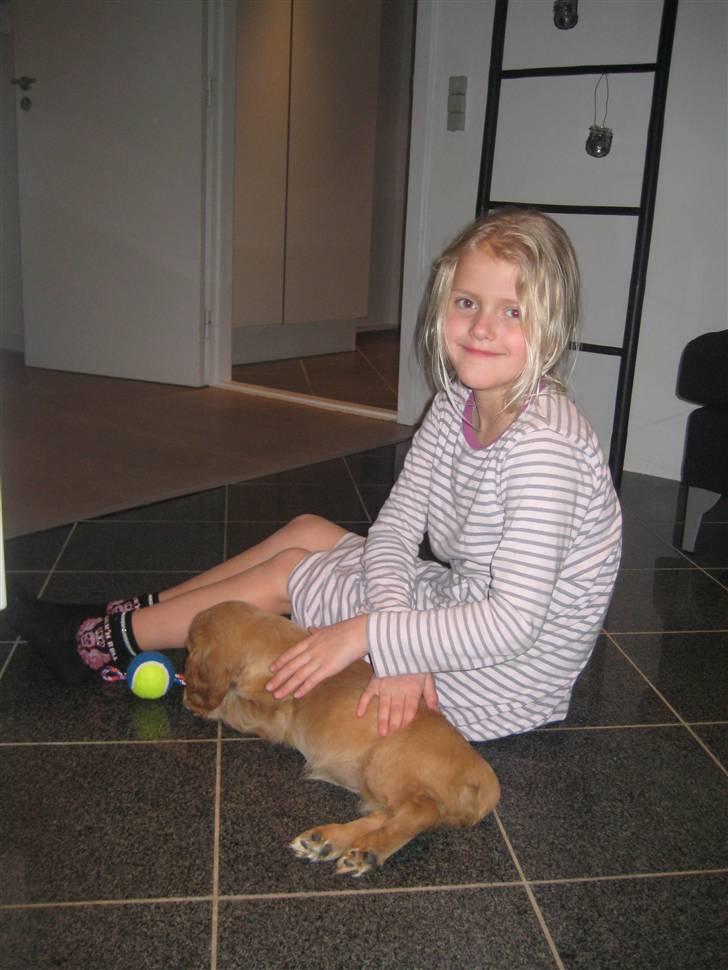 Blanding af racer Tulle - Alberte og Tulles første dag billede 11