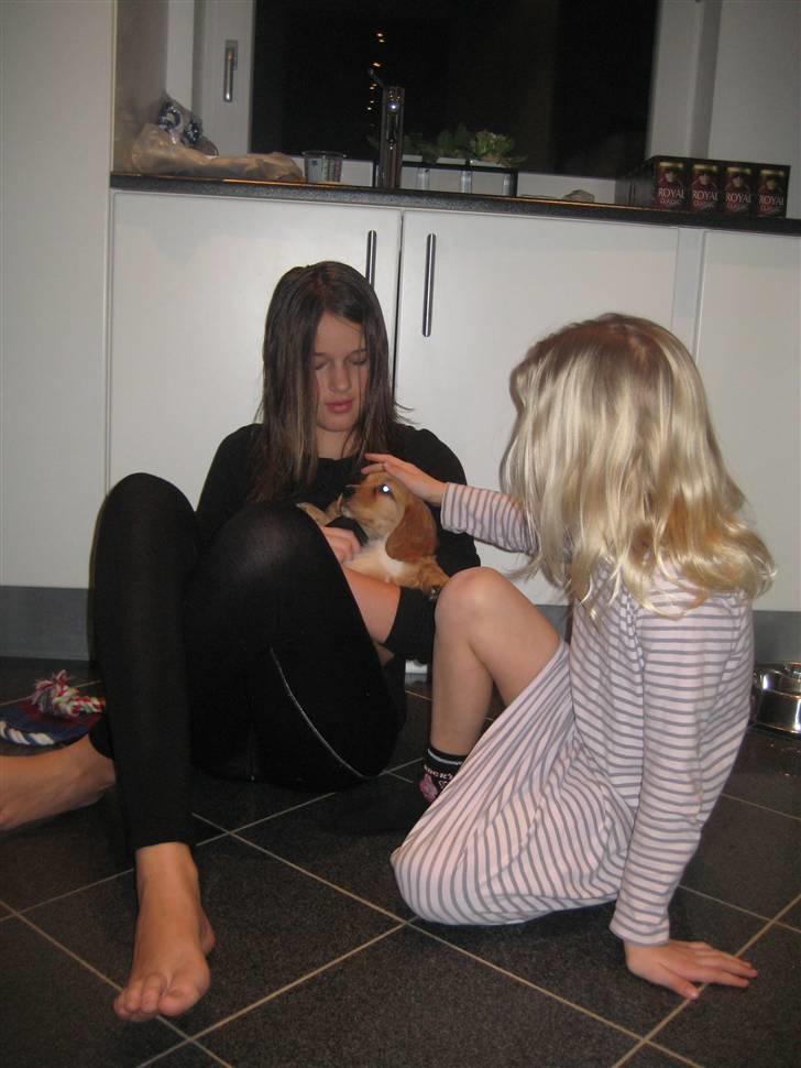 Blanding af racer Tulle - Pigerne kæler og børster Tulle billede 14