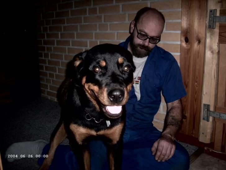 Rottweiler Paya (R.I.P) billede 8