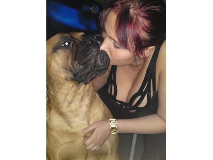 {{currentPhoto.altText}} billede {{currentPhoto.number}}