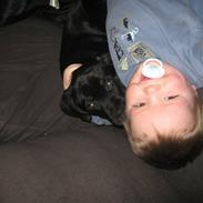 Blanding af racer King