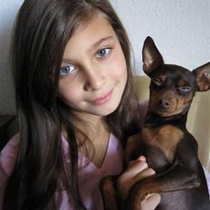 Prazsky krysarik Vimse