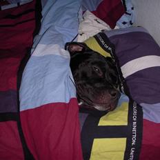 Blanding af racer kessler R.I.P.