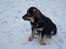 Blanding af racer cosmo - min elskede cosmo