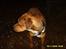 Blanding af racer Balou - .R.I.P - Hov hvad  nu det for en lyd!!! 
