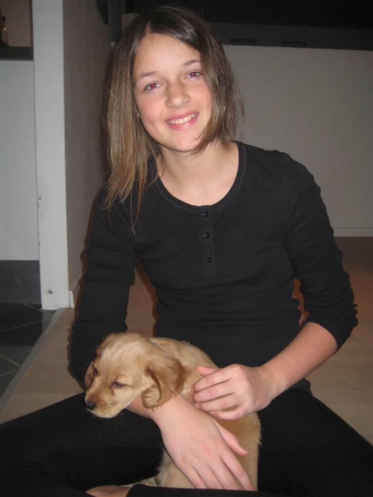 Blanding af racer Tulle - så fik vi endelig hund..... billede 16