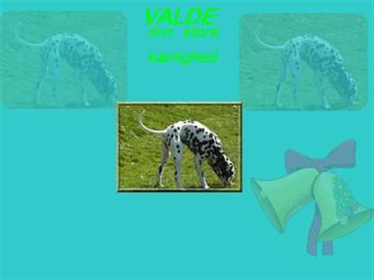 Dalmatiner Valde*himmel hund* :'(<3 - valde min store kærlighed billede 10