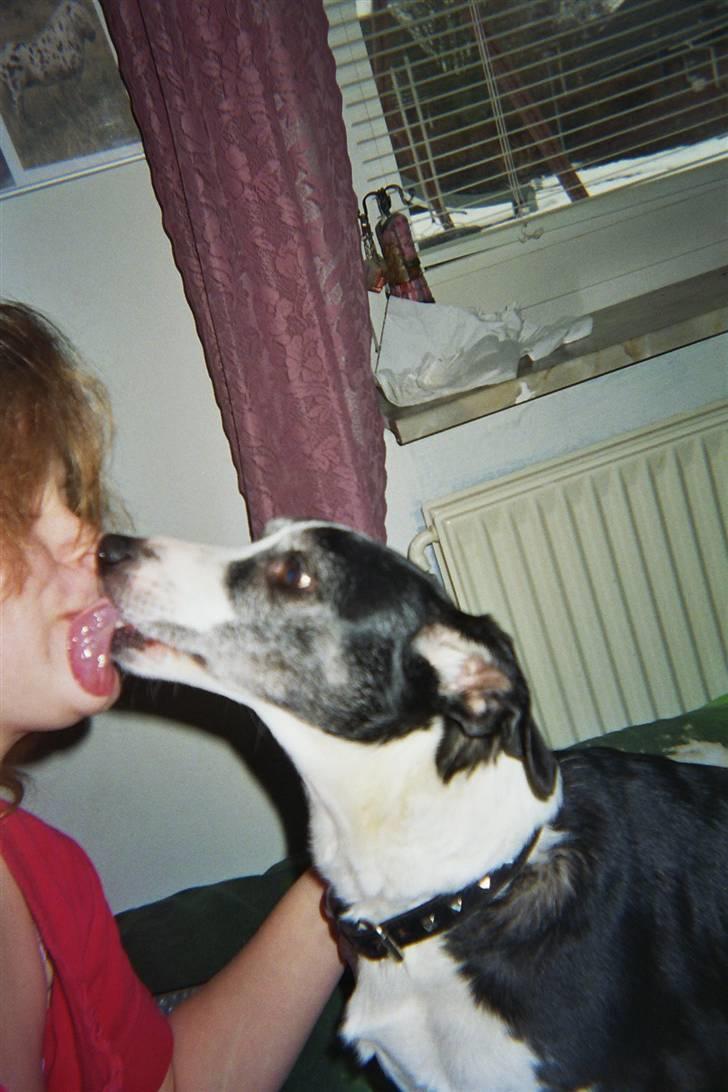 Blanding af racer snuggi - et dejligt kys til min lille mor  billede 6