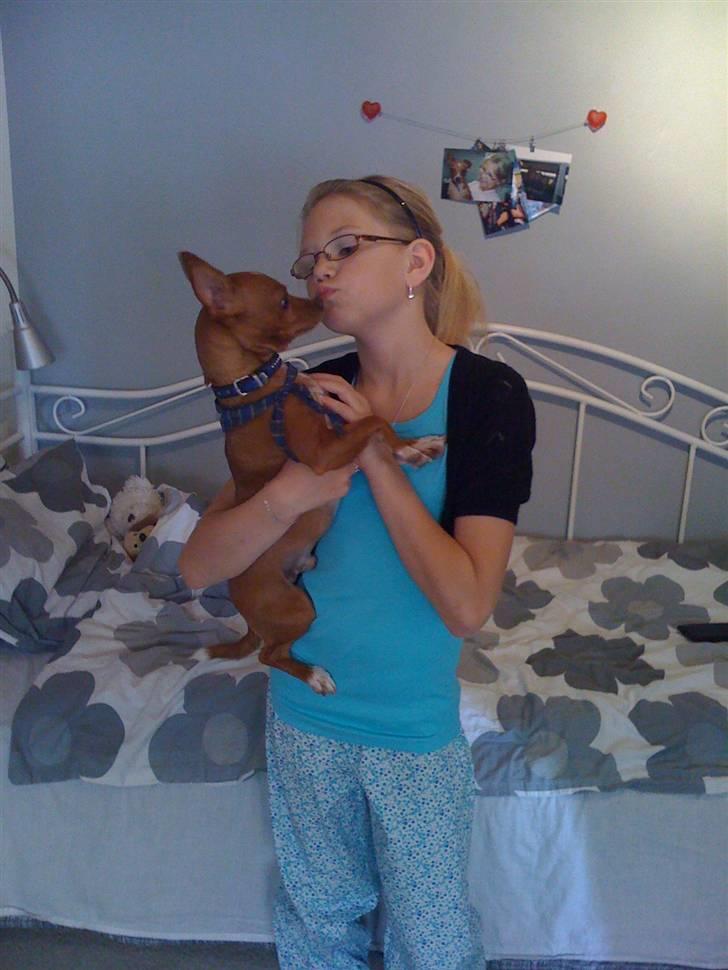 Blanding af racer Valdemar<3 - MYS!<3 billede 1