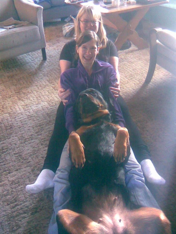 Rottweiler Luna R.I.P. - Sandra (min veninde) mig og Luna billede 5