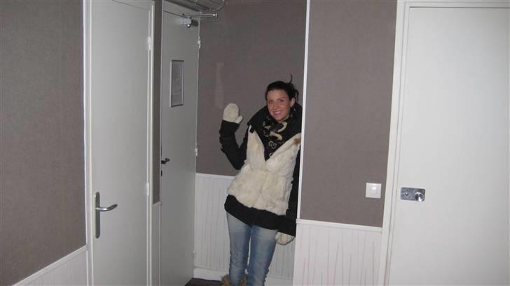 Dvaergpinscher  chanel - Her er vores "mor"... billede 8