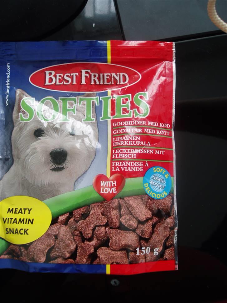 Chihuahua Lui billede 17