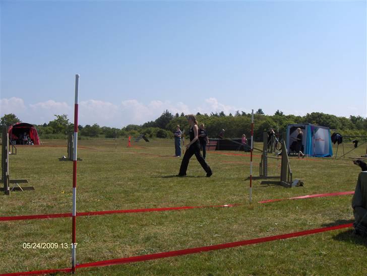 Blanding af racer Lady billede 2