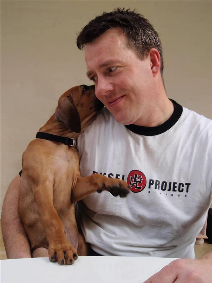 Rhodesian ridgeback Fanikiwa Asilia Jamilla - Shh. jeg skal lige fortelle dig noget. billede 8