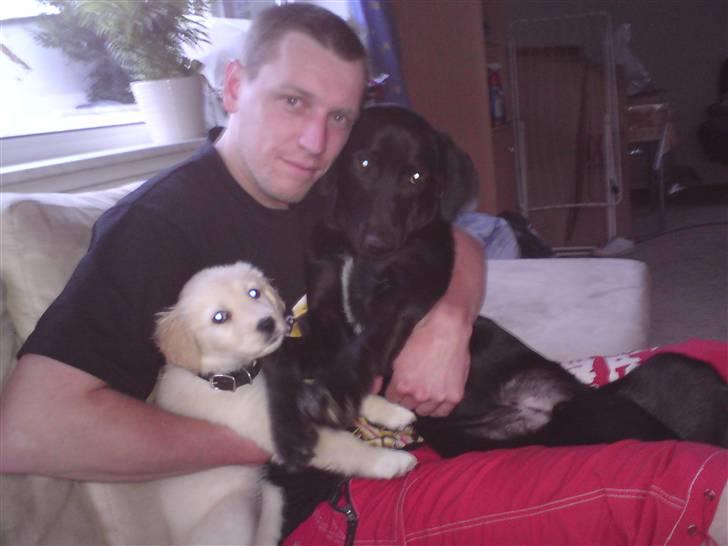 Blanding af racer Molly - Molly sammen med hendes ene bror Nico, har desværre ham ikke mere, savner ham så vildt. billede 16