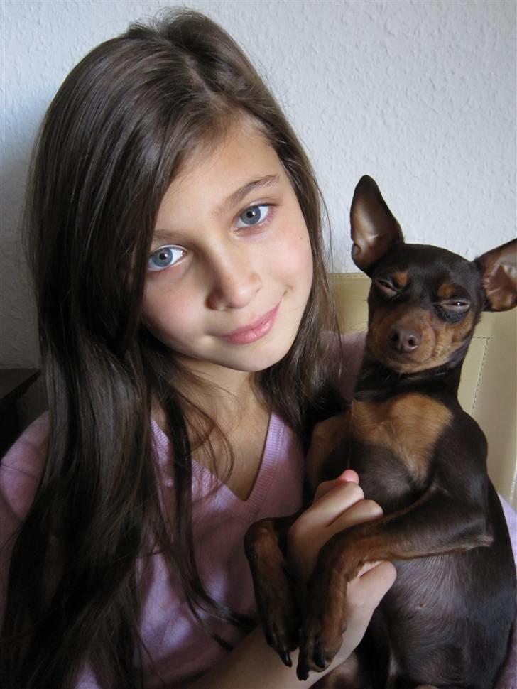 Prazsky krysarik Vimse billede 2