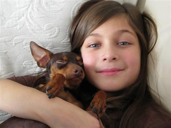 Prazsky krysarik Vimse billede 4