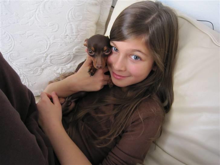 Prazsky krysarik Tiny billede 5